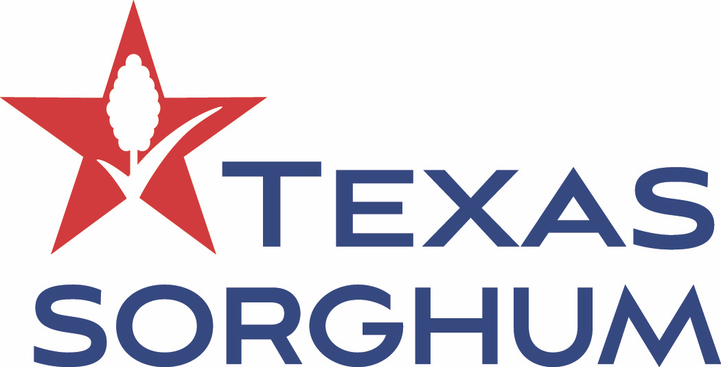 Texas Sorghum